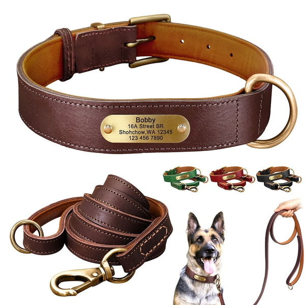 How to Choose the Best Leather Dog Collar