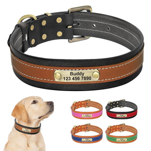 Santa Monica - Personalised Collar