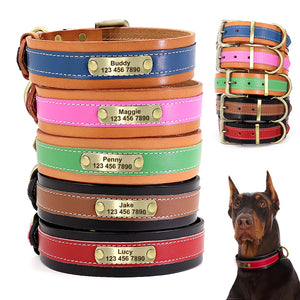 Santa Monica - Personalised Collar