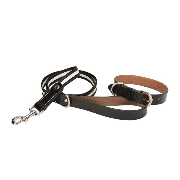 Load image into Gallery viewer, Designo Leather - 2 Piece Set - Leash &amp; Collar
