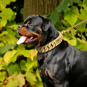 P.I.M.P Chain - Personalised Collar