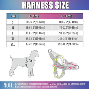 Friendly Harness