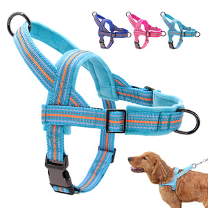 Friendly Harness