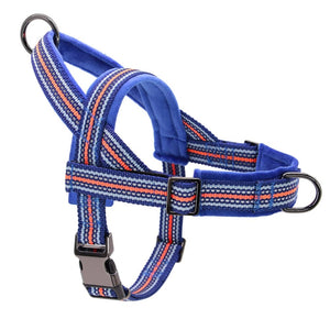 Friendly Harness