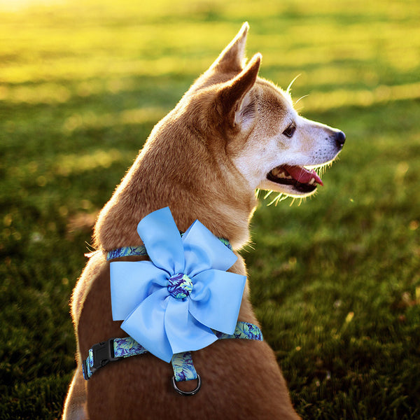 Load image into Gallery viewer, Spring Floral Bow Harness
