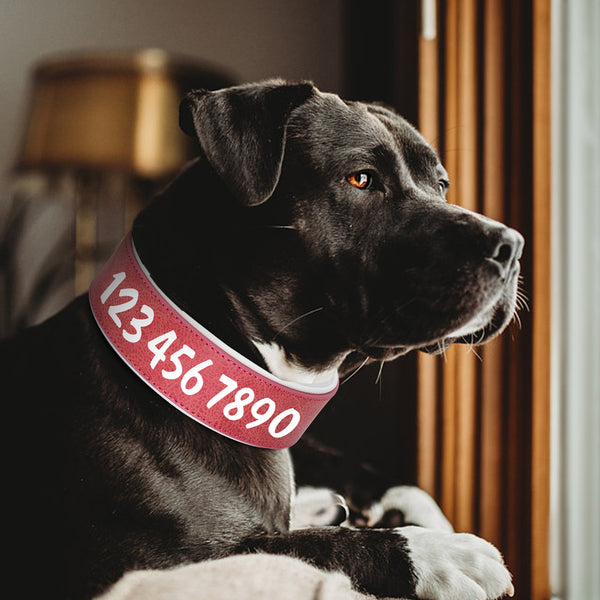 Load image into Gallery viewer, Hustle Solid Print - Personalised Collar
