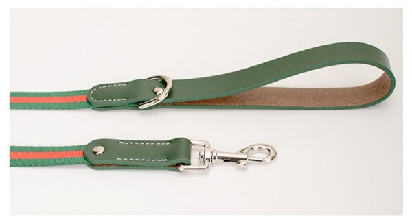 Load image into Gallery viewer, Designo Leather - 2 Piece Set - Leash &amp; Collar
