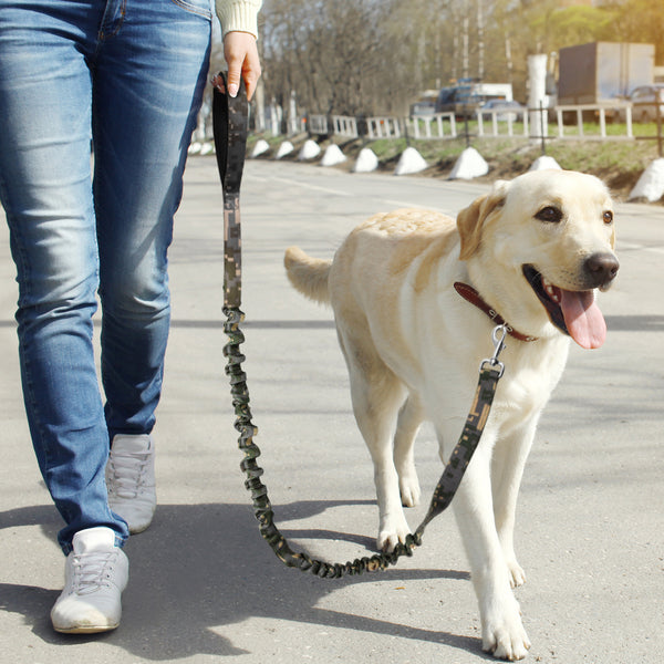 Load image into Gallery viewer, Special Force Reserve Leash
