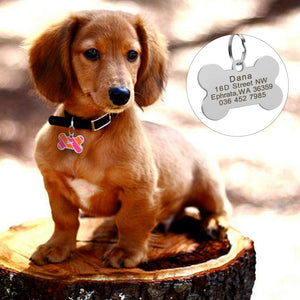 Stripe Bone Pet Tag - Personalised Engraving