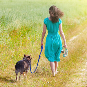 Sparkle Bow Leash