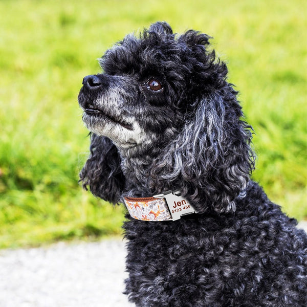 Load image into Gallery viewer, St Paddy - Personalised Collar
