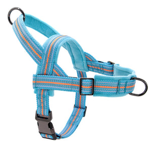 Friendly Harness