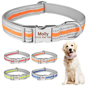 Style Line - Personalised Collar