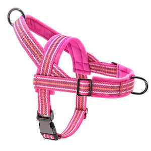 Friendly Harness