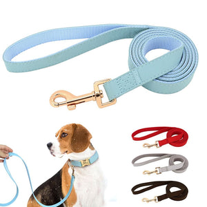 Sleek Pup Leash