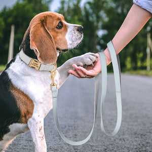 Sleek Pup Leash