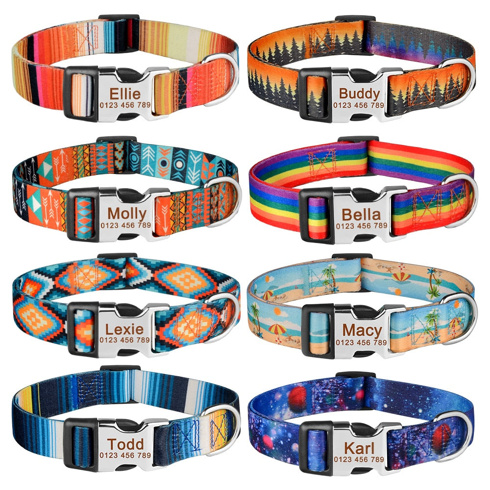 Puppy collars for sale best sale