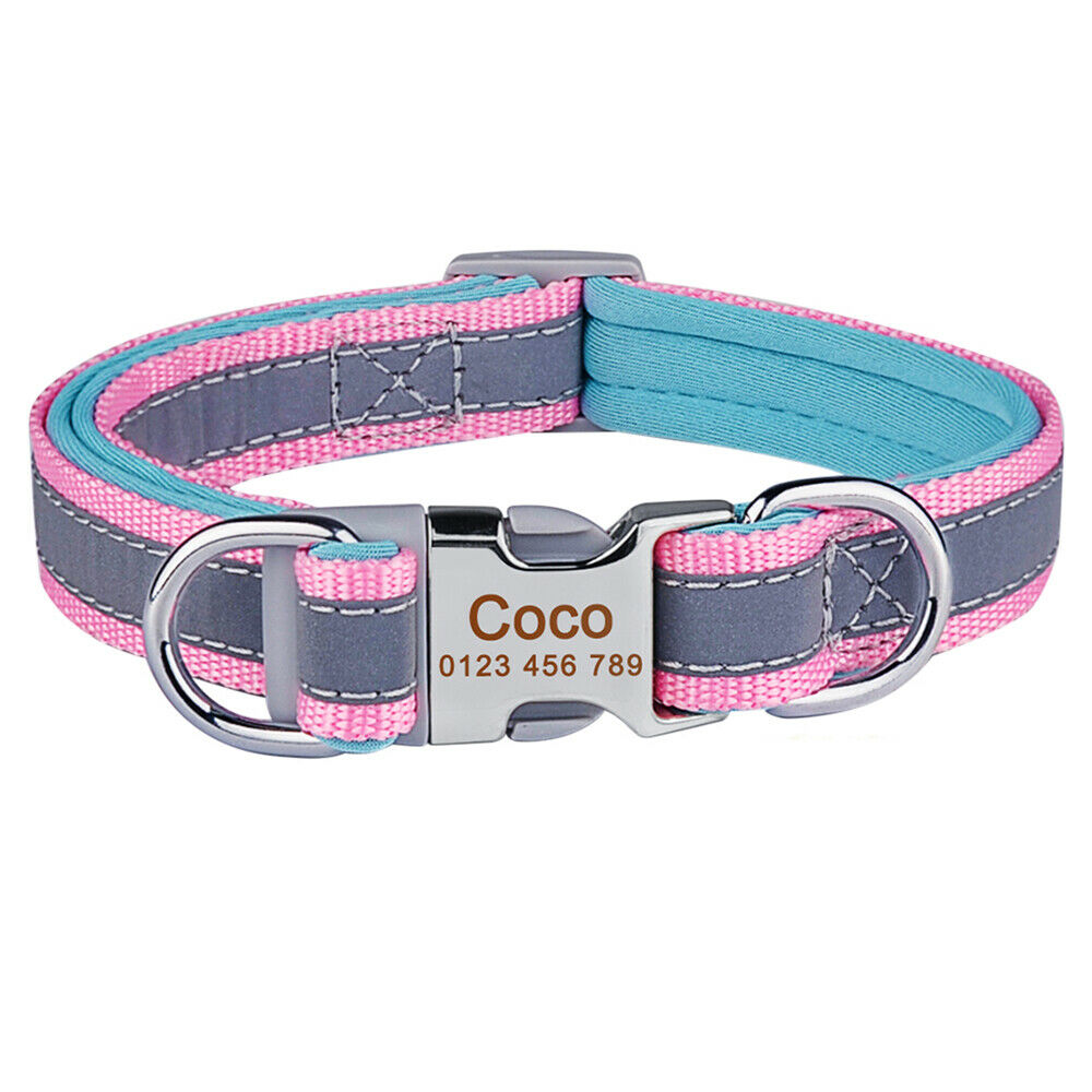 Reflect Line - Personalised Collar