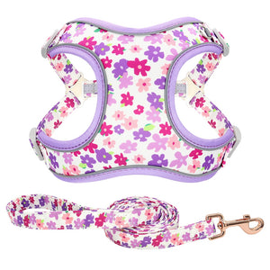 Powers - 2 Piece Set - Harness & Leash