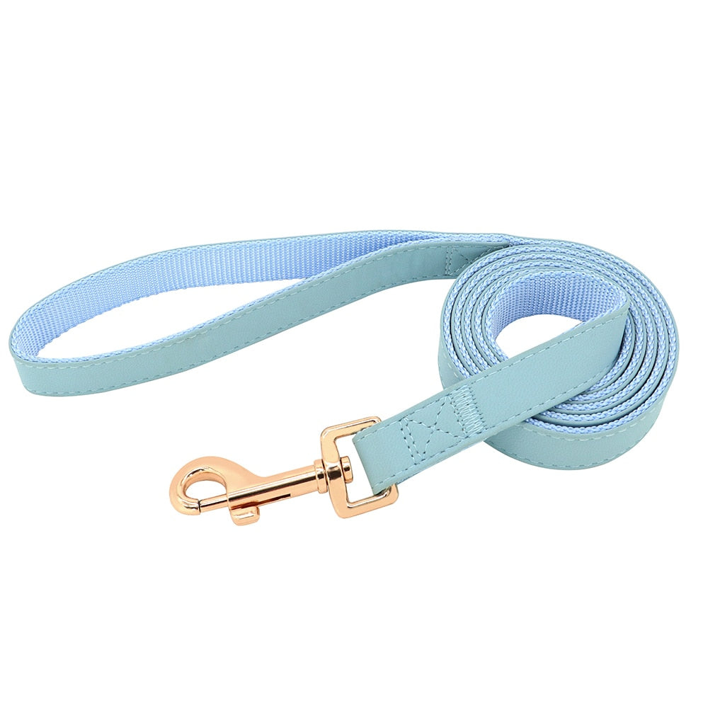 Sleek Pup Leash