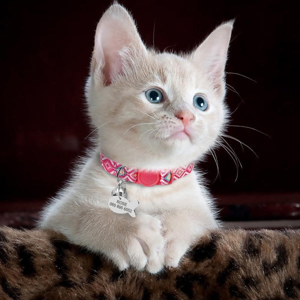 Load image into Gallery viewer, Whisker - Personalised Cat Collar
