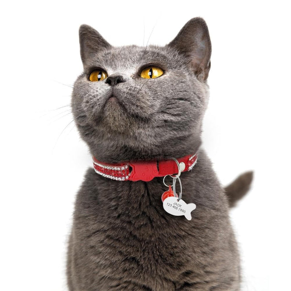 Load image into Gallery viewer, Star Cat - Personalised Cat Collar
