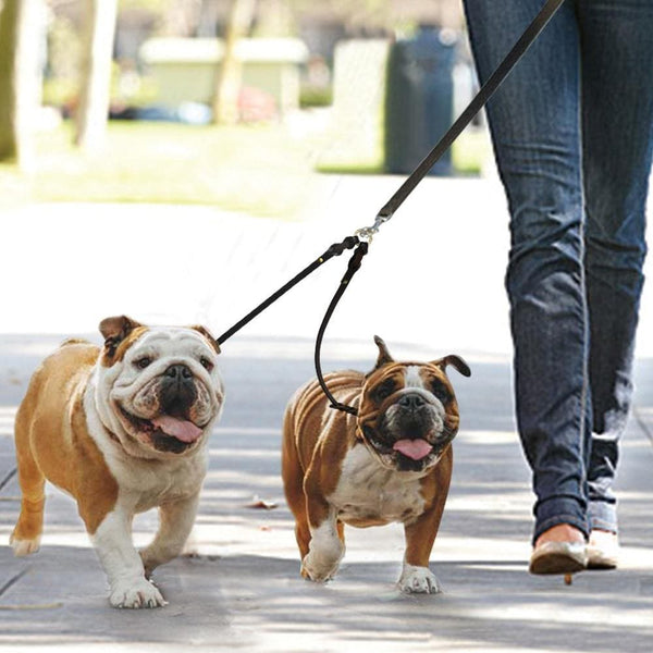 Load image into Gallery viewer, two dogs walking Leather double dog leash extender
