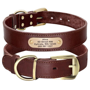 Hound Style - Personalised Collar