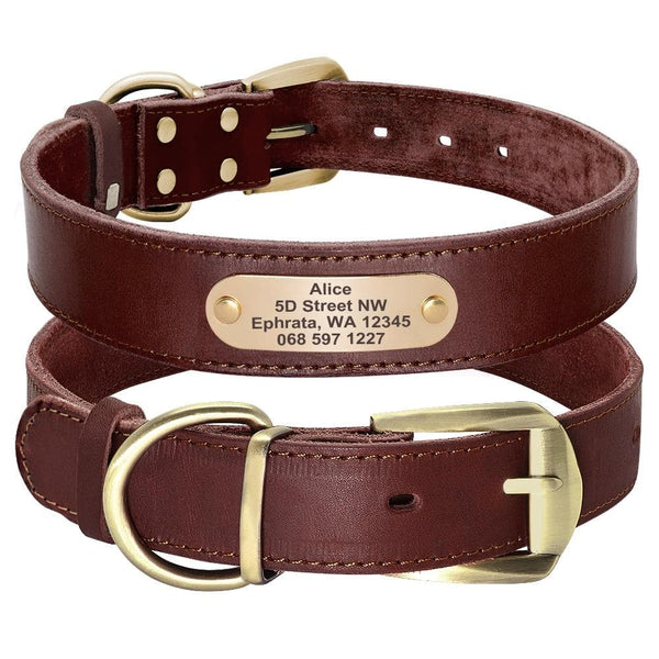 Load image into Gallery viewer, Hound Style - Personalised Collar
