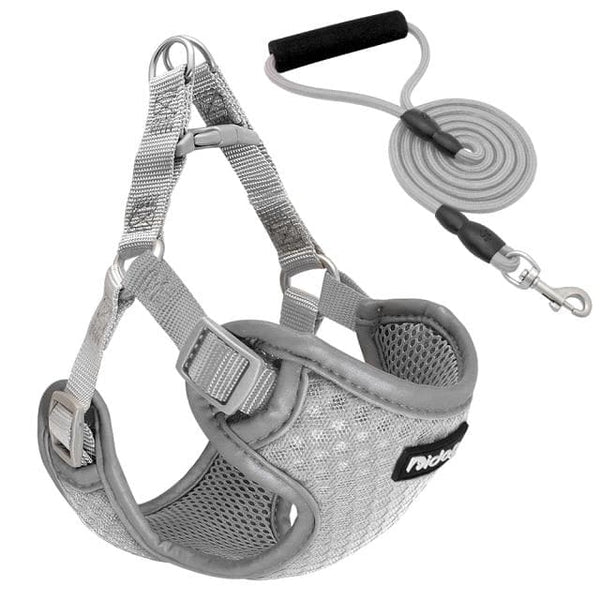 Load image into Gallery viewer, Space Cadet - 2 Piece Set - Harness &amp; Leash
