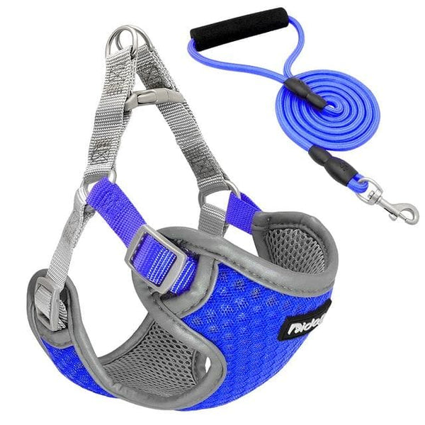 Load image into Gallery viewer, Space Cadet - 2 Piece Set - Harness &amp; Leash
