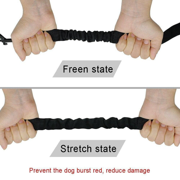 Load image into Gallery viewer, triple dog leash extender for walking three dogs
