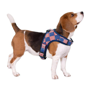 Dog Harness