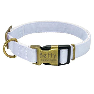 personalised pet collar with engraving pastel colour