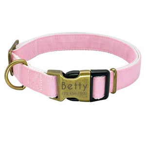 personalised pet collar with engraving pastel colour