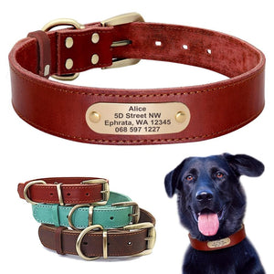 Hound Style - Personalised Collar