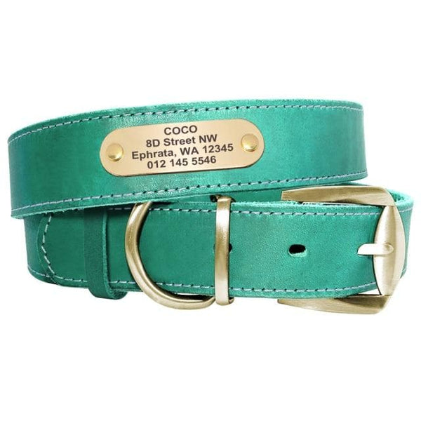 Load image into Gallery viewer, Hound Style - Personalised Collar
