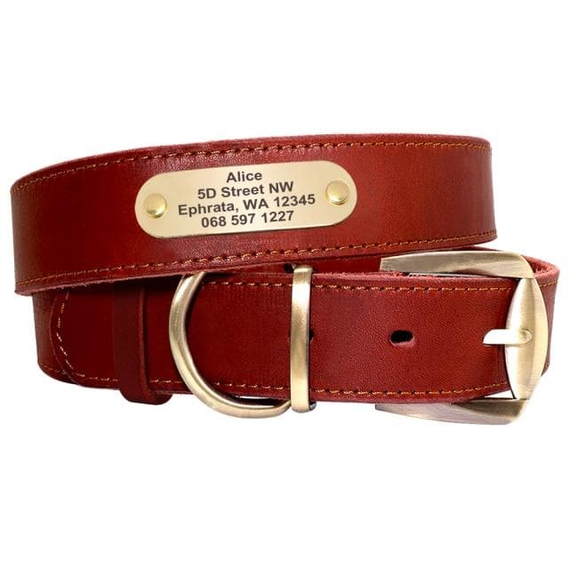 Hound Style - Personalised Collar