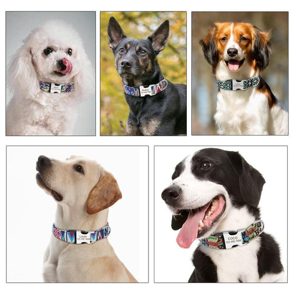 Load image into Gallery viewer, personalised pet collar with engraving
