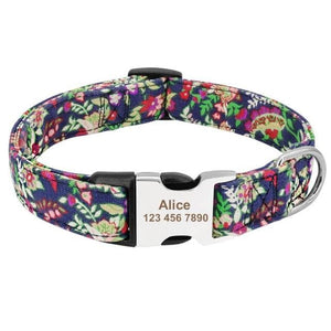 personalised pet collar with engraving