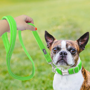 Personalised dog collar with engraving and matching leash set