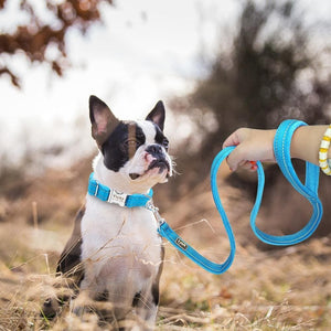 Personalised dog collar with engraving and matching leash set