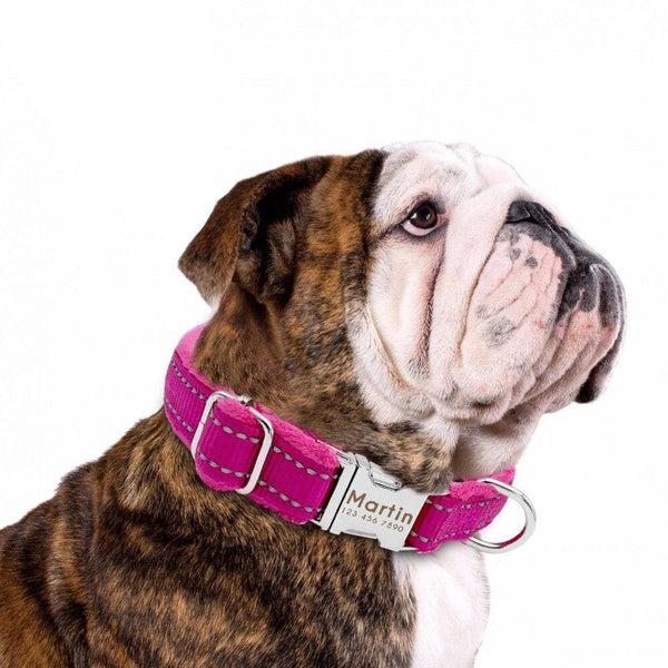 Load image into Gallery viewer, Personalised dog collar with engraving and matching leash set
