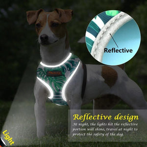 Malibu style dog harness with reflective detail