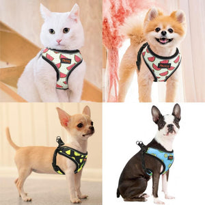 Fruit print pet harness adjustable and reflective