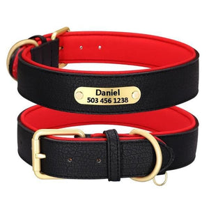 leather personalised dog collar engraved