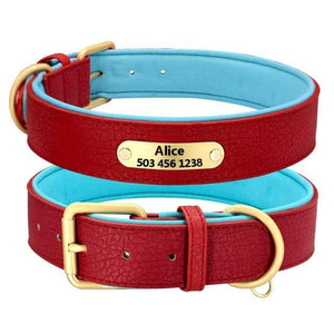 leather personalised dog collar engraved