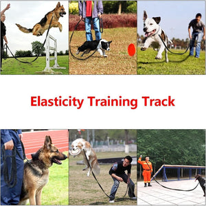 Tracking Trainer No Pull Leash