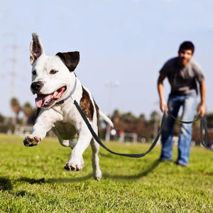 Tracking Trainer No Pull Leash
