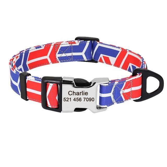 Personalised dog collar with engraving of name and phone number